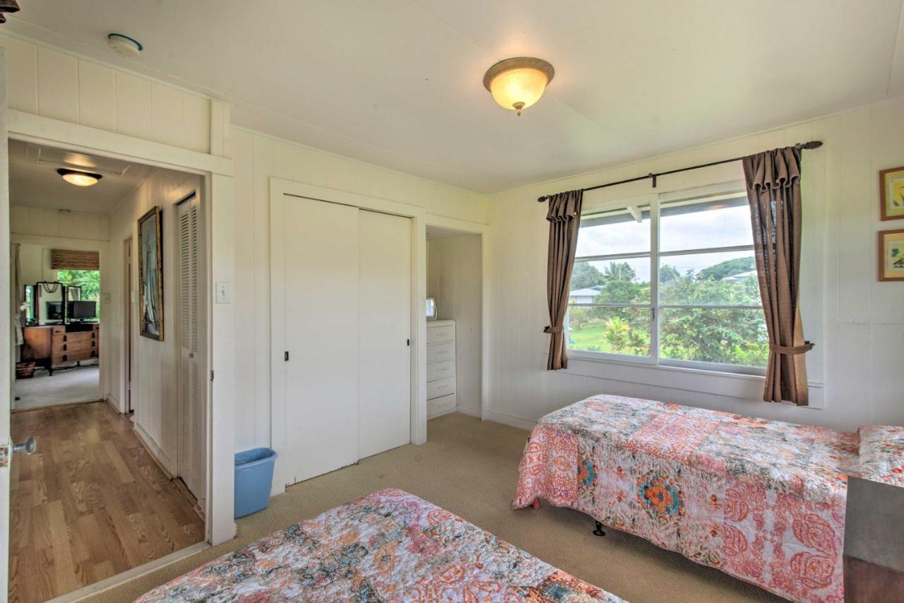 Hilo Home Base - 3 Miles To State Park And Beach! Εξωτερικό φωτογραφία